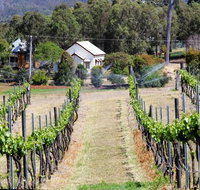 Prendergasts Irish Tavern - Events Australia