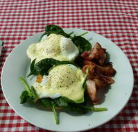 The Shed Cafe - Events Australia