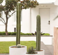 Adina Apartment Hotel Chippendale - Events Australia