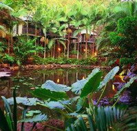 Daintree Eco Lodge  Spa - Events Australia