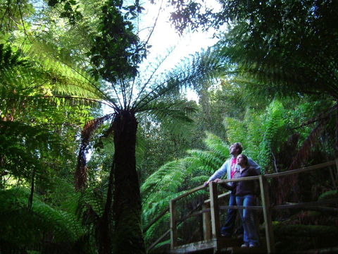 Huon Bush Retreats - Events Australia 1