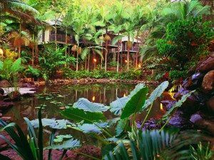 Daintree Eco Lodge & Spa - Events Australia 0