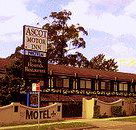 Golden Chain Ascot Motor Inn - Events Australia