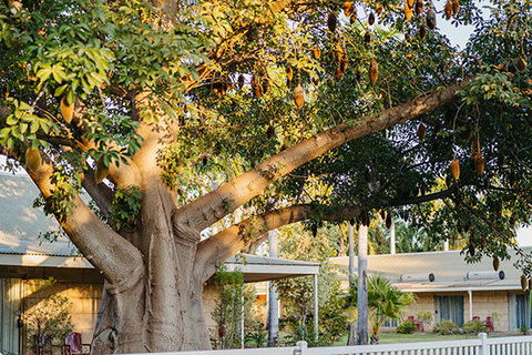 Kimberley Grande Resort & Conf Ctr - Events Australia 0