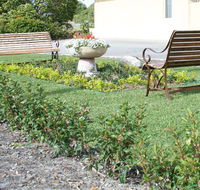 SureStay by BW The Clarence on Melville - Tourism Bookings