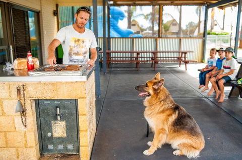 Discovery Parks Bunbury Village - Tourism Bookings 0