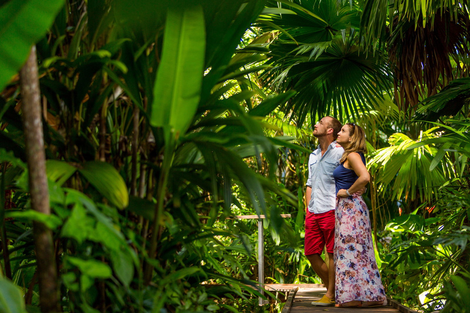 Aeroglen QLD Tourism Bookings