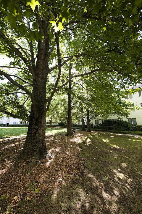 University House - ANU - Tourism Bookings 28
