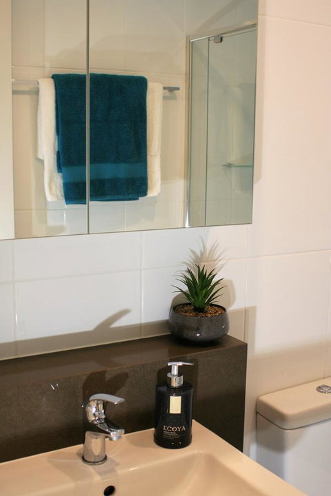 Modern Executive Apt@Barton*1BR*WiFi*Gym*Secure Parking*Canberra - Tourism Bookings 13