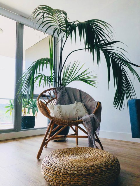 Staying Places - The Avenue - Tourism Bookings 14