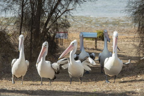 Mercure Kangaroo Island Lodge - Tourism Bookings 15