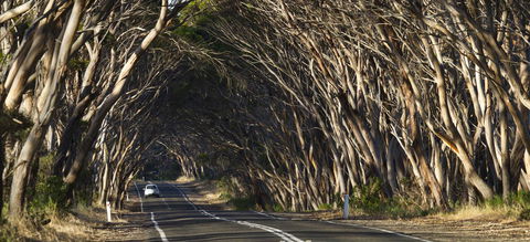 Mercure Kangaroo Island Lodge - Tourism Bookings 40