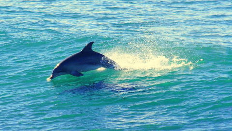 Mollymook Beach Waterfront - Events Australia 22