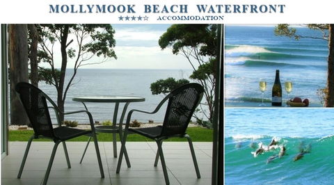 Mollymook Beach Waterfront - Events Australia 1