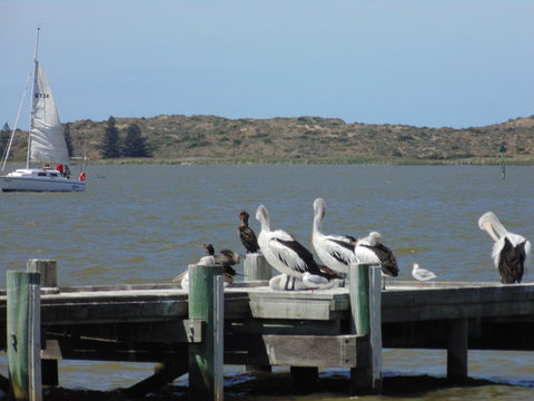 Baronet B & B - Events Australia 20