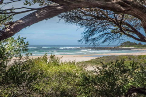 BIG4 Tasman Holiday Parks - Racecourse Beach - Events Australia 7
