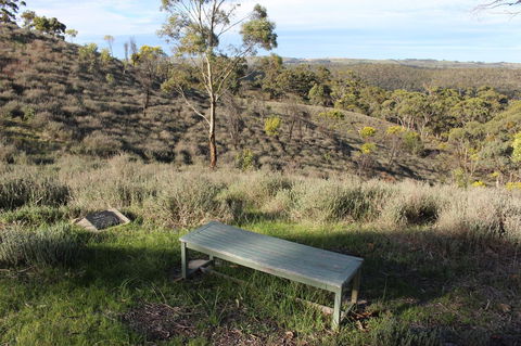 Molly's Chase - Events Australia 31