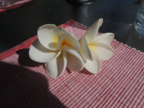 Glenelg - Marina Retreat - Events Australia 15