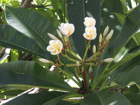 Glenelg - Marina Retreat - Events Australia 28