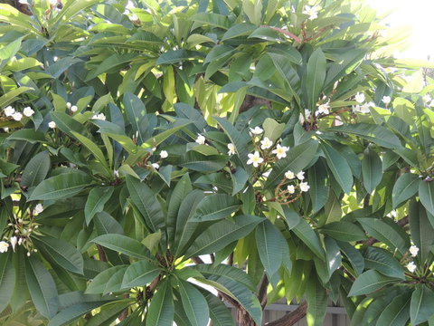 Glenelg - Marina Retreat - Events Australia 36