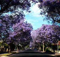 Monaco Court Apartment Adelaide - Events Australia