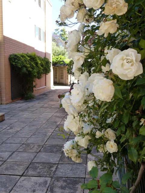 Monaco Court Apartment Adelaide - Accommodation Europe 19