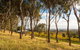 Shadow Creek McLaren Vale - thumb 5
