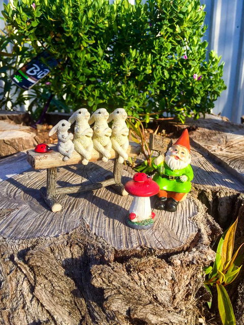 Inglenook Cottage - Events Australia 34