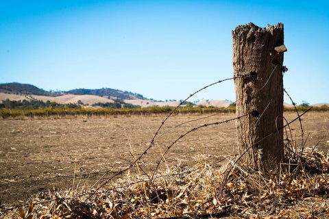 Barossa Vineyard Cottages - Events Australia 5