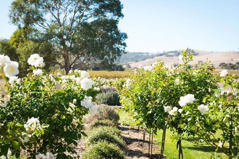 Barossa Vineyard Cottages - Events Australia 1