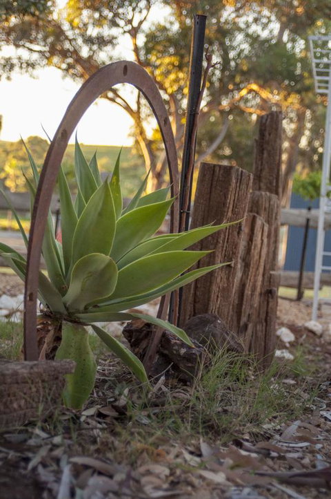 Seppelts View Cabins - Events Australia 37