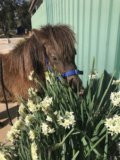 Seppelts View Cabins - Events Australia 14