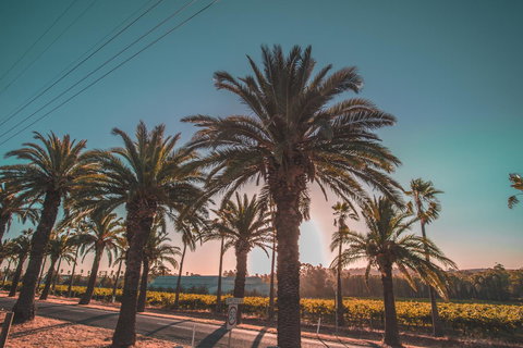 Seppelts View Cabins - Events Australia 18