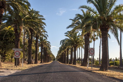 Seppelts View Cabins - Events Australia 43