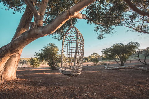 Seppelts View Cabins - Events Australia 15