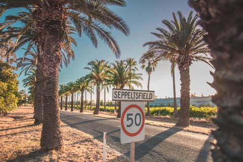 Seppelts View Cabins - Events Australia 6