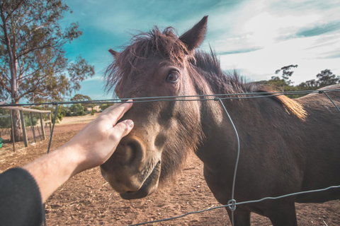 Seppelts View Cabins - Events Australia 28