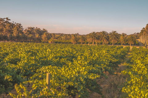 Seppelts View Cabins - Events Australia 8
