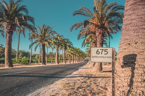 Seppelts View Cabins - Events Australia 16