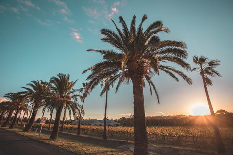 Seppelts View Cabins - Events Australia 2