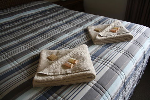 Isis Motel Scone - Tourism Bookings 3