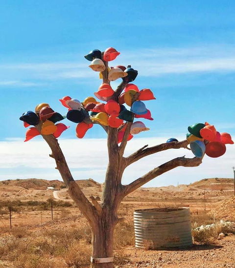 Aussie Opal Diggers Outback Retreat-Undergound - Events Australia 29