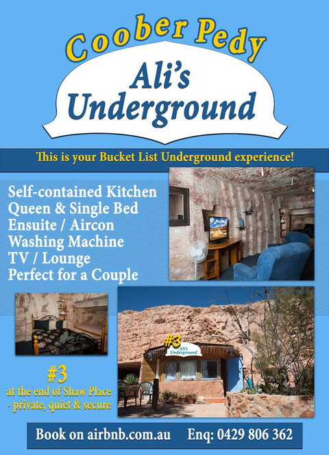 Ali\'s Underground Studio - Tourism Bookings 12