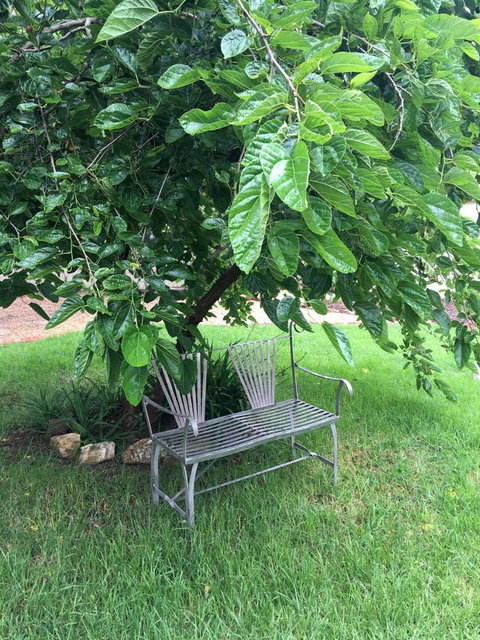 Amy\'s House Bed & Breakfast - Events Australia 22