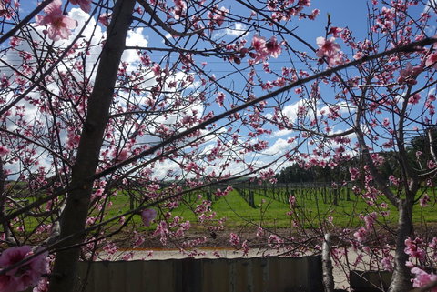 Amy\'s House Bed & Breakfast - Events Australia 40