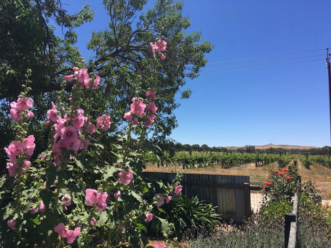 Amy\'s House Bed & Breakfast - Events Australia 29