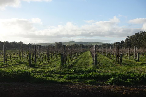 Amy\'s House Bed & Breakfast - Events Australia 31