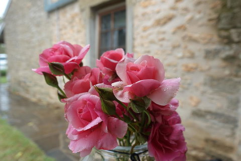 Amy\'s House Bed & Breakfast - Events Australia 30