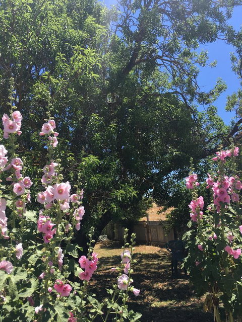 Amy\'s House Bed & Breakfast - Events Australia 37