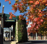 Ten Dollar Town Motel - Tourism Bookings